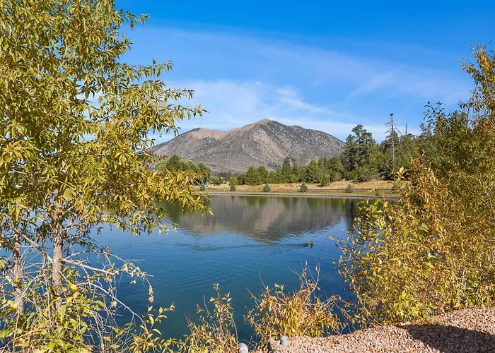 Mountain Oasis Stunning Views Renovated Near Attractions Apartment *